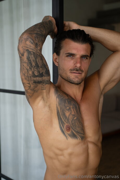 Antonycanvas onlyfans picture