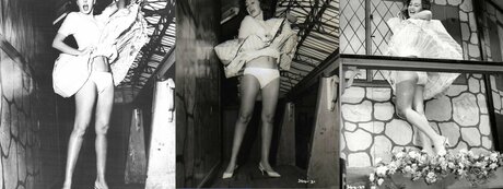 Vintage Sexy Celebs onlyfans content