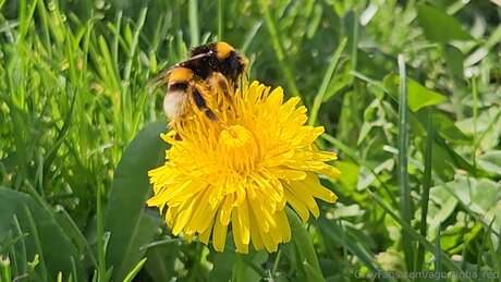 Agostinha Red onlyfans porn