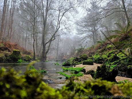 Agostinha Red leaked only fans porn