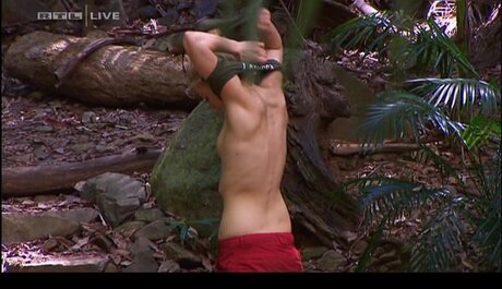 Ich bin ein Star Holt mich hier raus_ xxx onlyfans