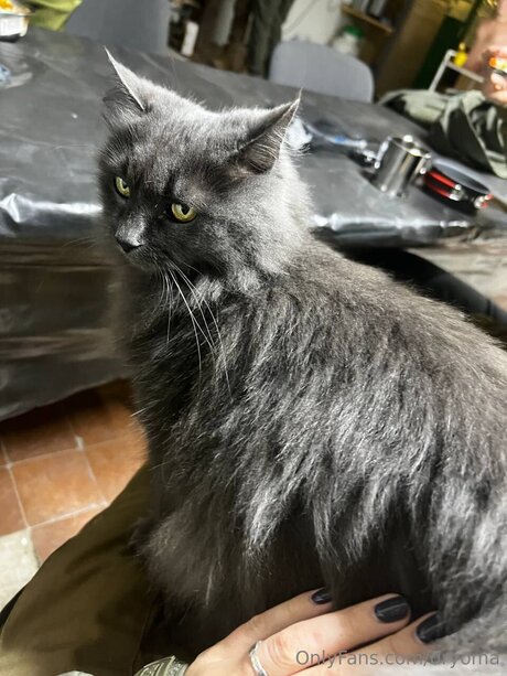 dryoma feet onlyfans