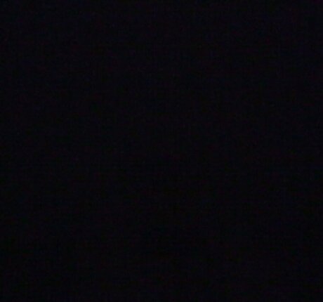 Sydney Harwin onlyfans archives