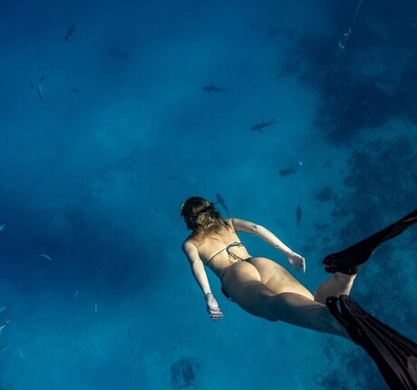 BrieWallz only fans porn