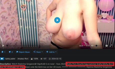 Kirsten Dilles onlyfans porn