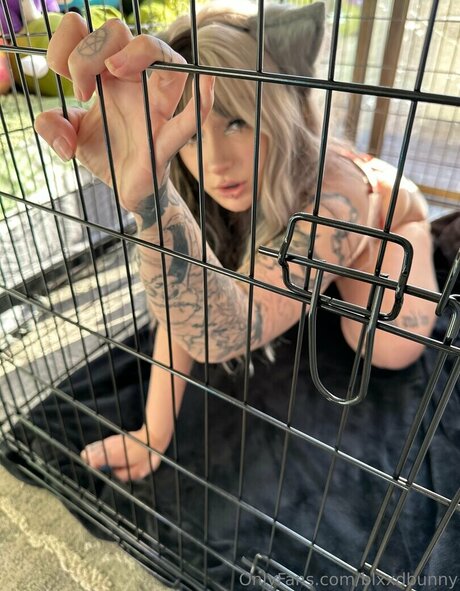 blxxdbunny onlyfans exposed