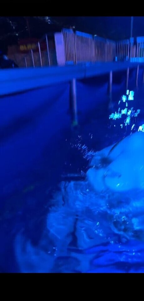 Yana Clare onlyfans nudes