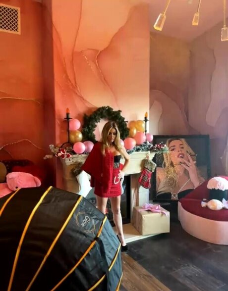 Denise Richards onlyfans porn leaked