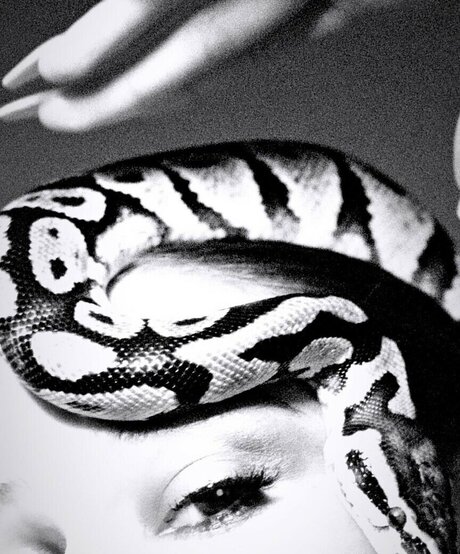 Biig Piig only fans nudes