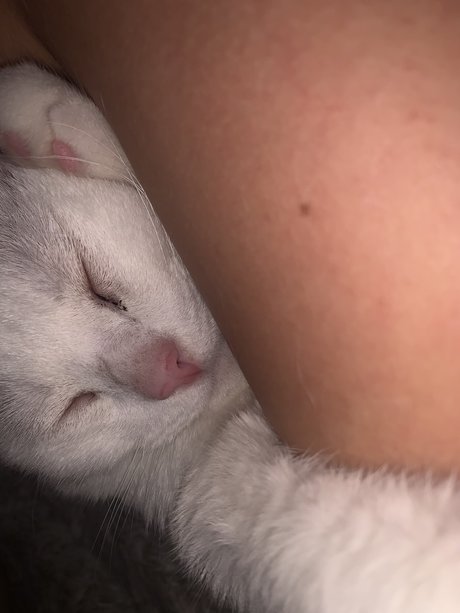 Gbby nude onlyfans leaked