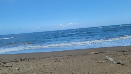 La pelua pr naked onlyfans leak