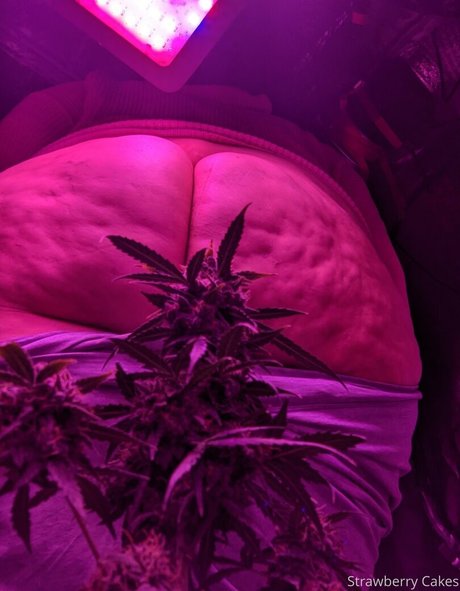 strawberry cakes only fans porn