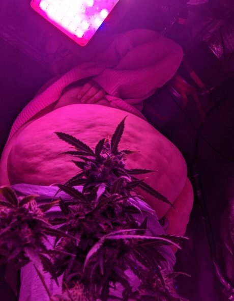 strawberry cakes onlyfans joi