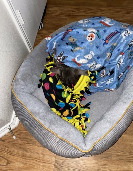 thckslutgoddess leaks only fans