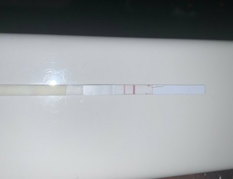 masterslbs onlyfans porno