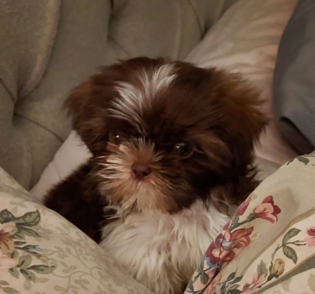 LanaRN onlyfans leaked nude