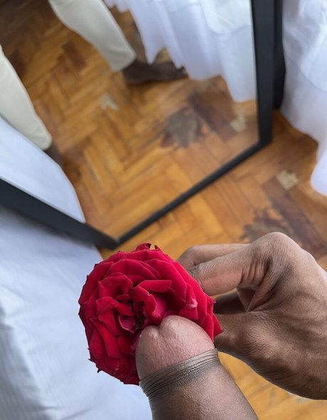 imroger free sex onlyfans