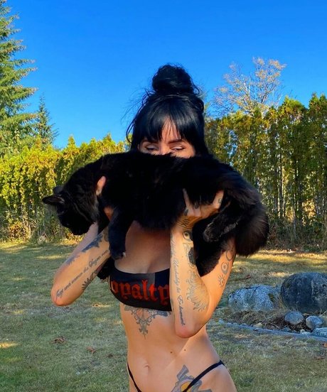 Lights Poxleitner Profile pic