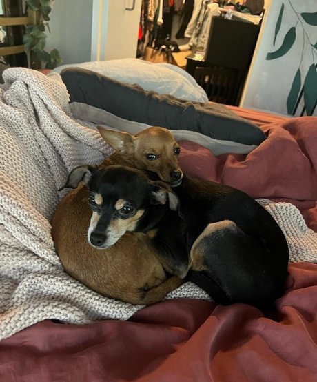 Suki Jade only fans pictures