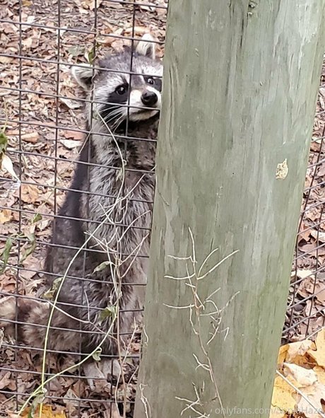 sonjahaze onlyfans pics leaked