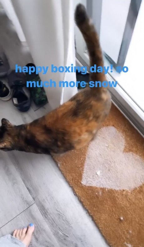 Holls8 onlyfans nude pictures