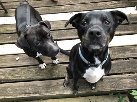 u7984023 onlyfans sex leaks