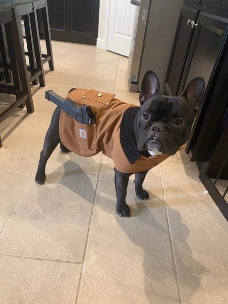 Lil Orlando only fans content