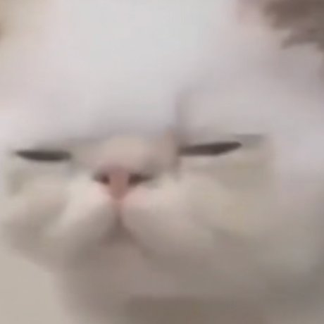 off the wall onlyfans page