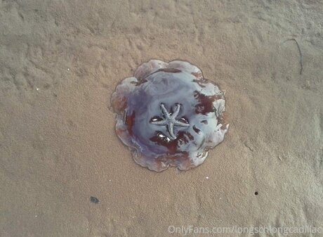 Cadillac leaked onlyfans free