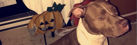 SideNigga Treey II_ leaked onlyfans free