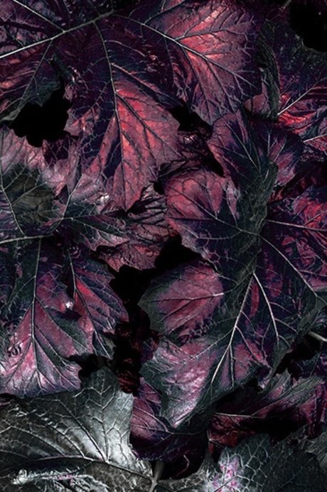 Marci June leaked onlyfans nudes