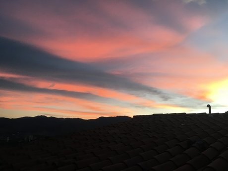 avila Medellin joi onlyfans