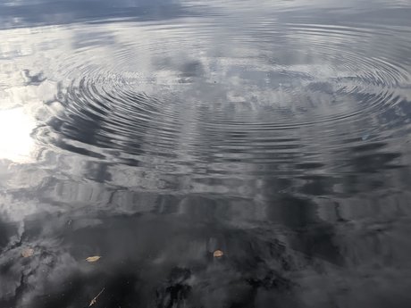 Moon Heart onlyfans public photos