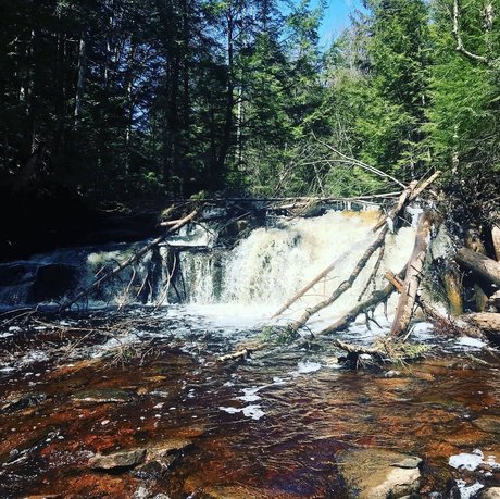 Emilio Medina onlyfans naked