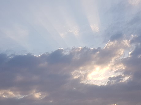 Moe Pearce onlyfans nudes