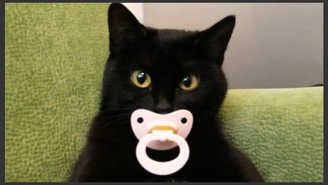 Erotic Taboo Literature 693 porn onlyfans leaks