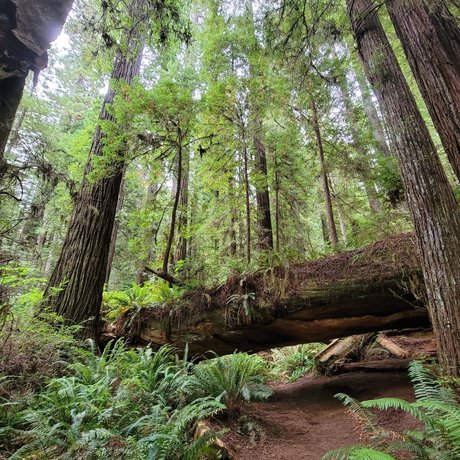 Mister Micah RN onlyfans leaked.