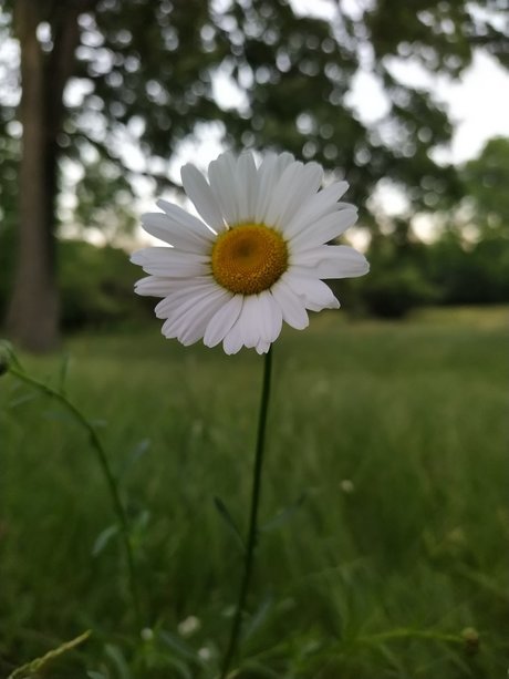 Zhu Li Moon onlyfans nude