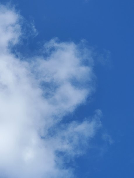 Miss Mimi onlyfans leaked