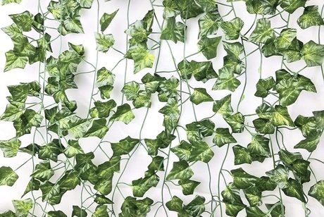 Care only fans nudes