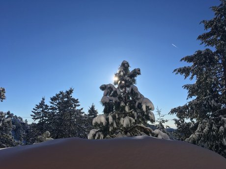 Nate Oakley nude onlyfans leaks