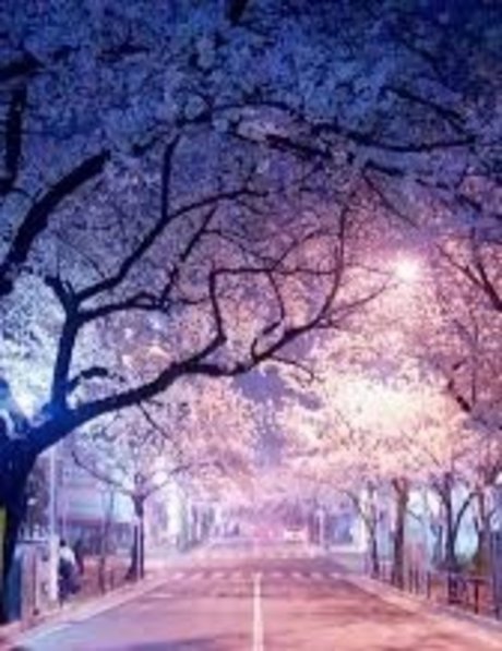 mu so you onlyfans xxx