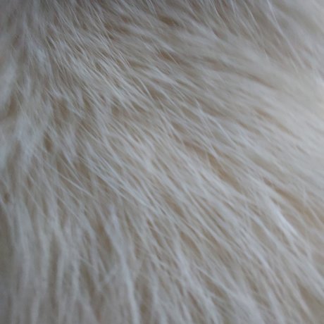 Yellow Heart onlyfans nudes