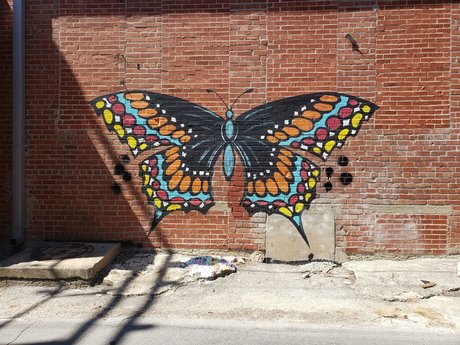 Rachel Smallwood onlyfans leake