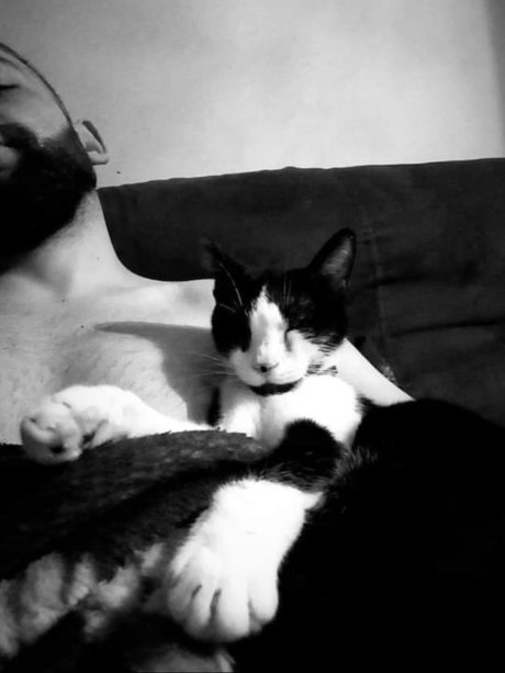 MrSerban onlyfans porn