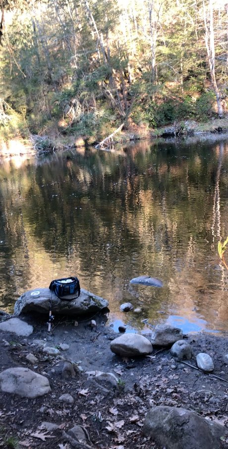 Mr Dominicano onlyfans porn