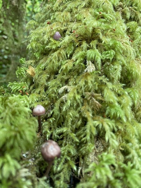 NoOne leak onlyfans nude