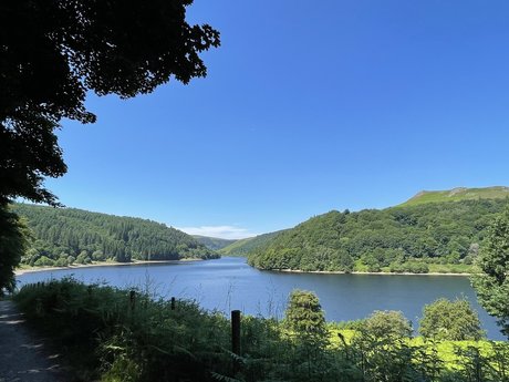 Morgs Olivia onlyfans strip