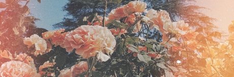 Nicole Fox leaked onlyfans xxx