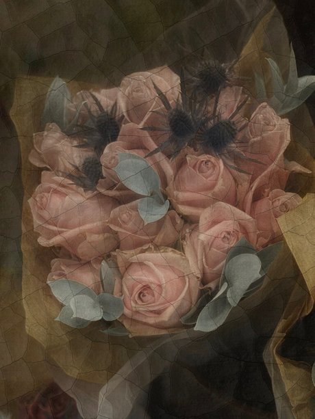 Nerdy Nurse fans only